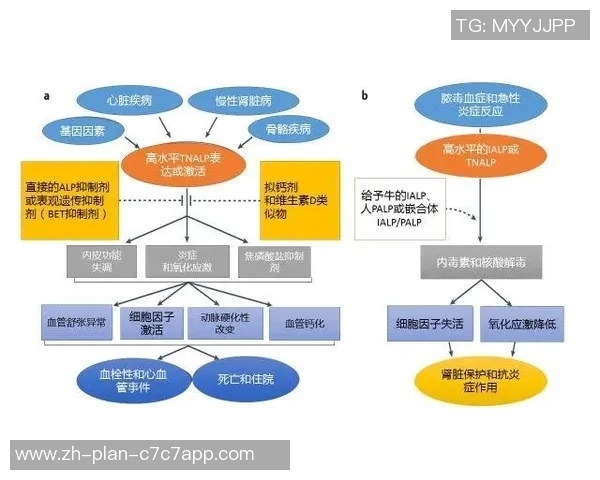肾病患者如何安全参与足球运动的有效策略与注意事项